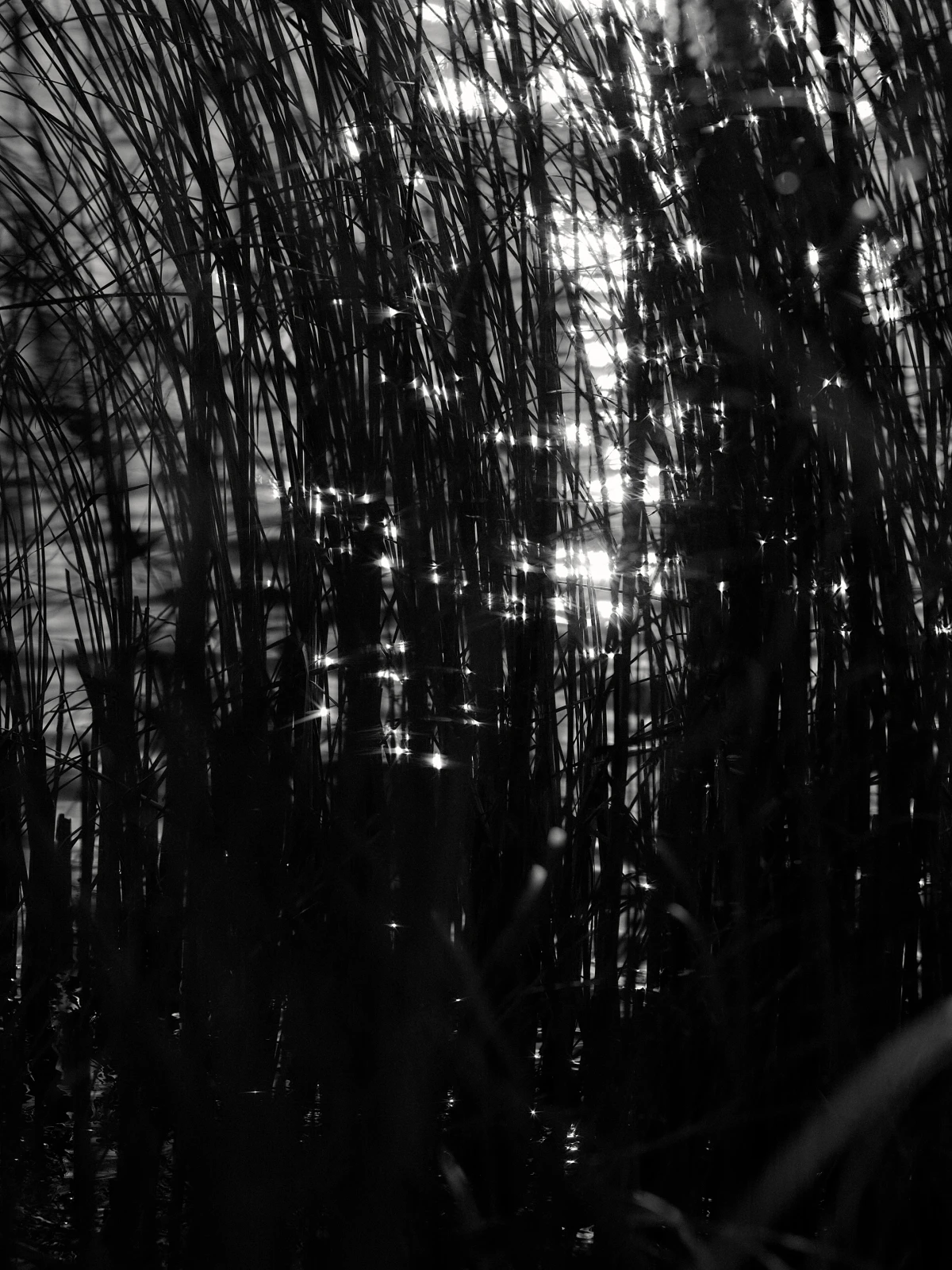 Lage – Pictures from Germany (2016–2026)