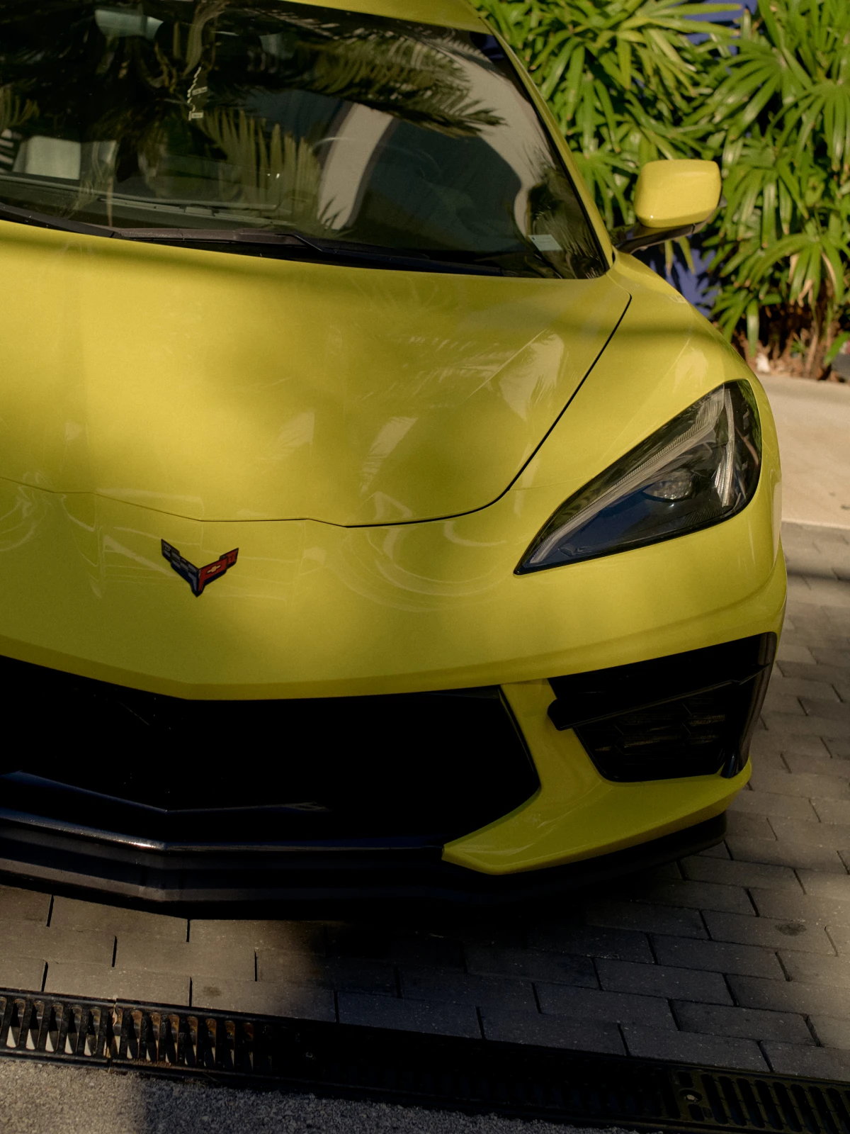 Surface Protocol, Lorida