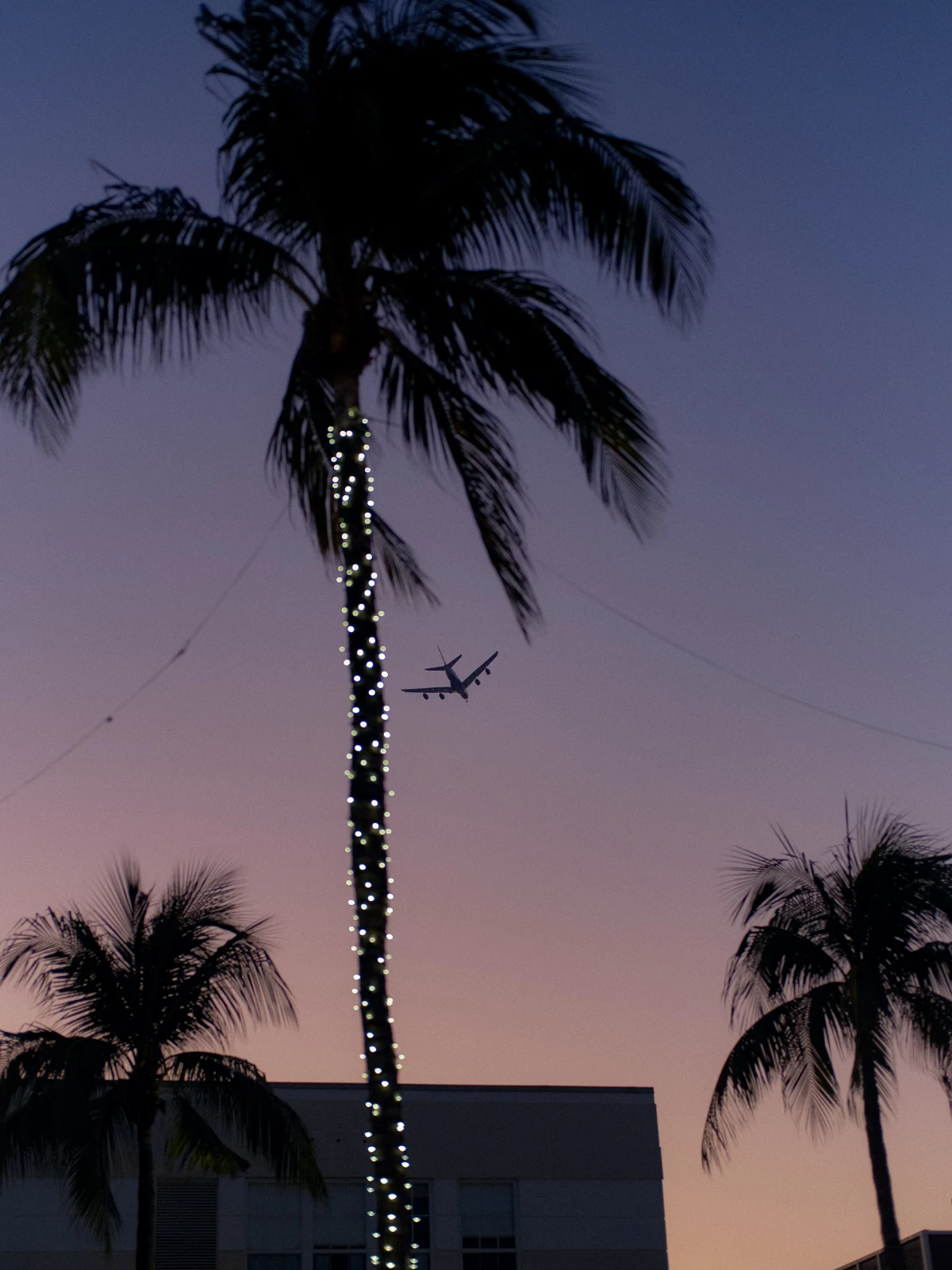 Surface Protocol, Lorida