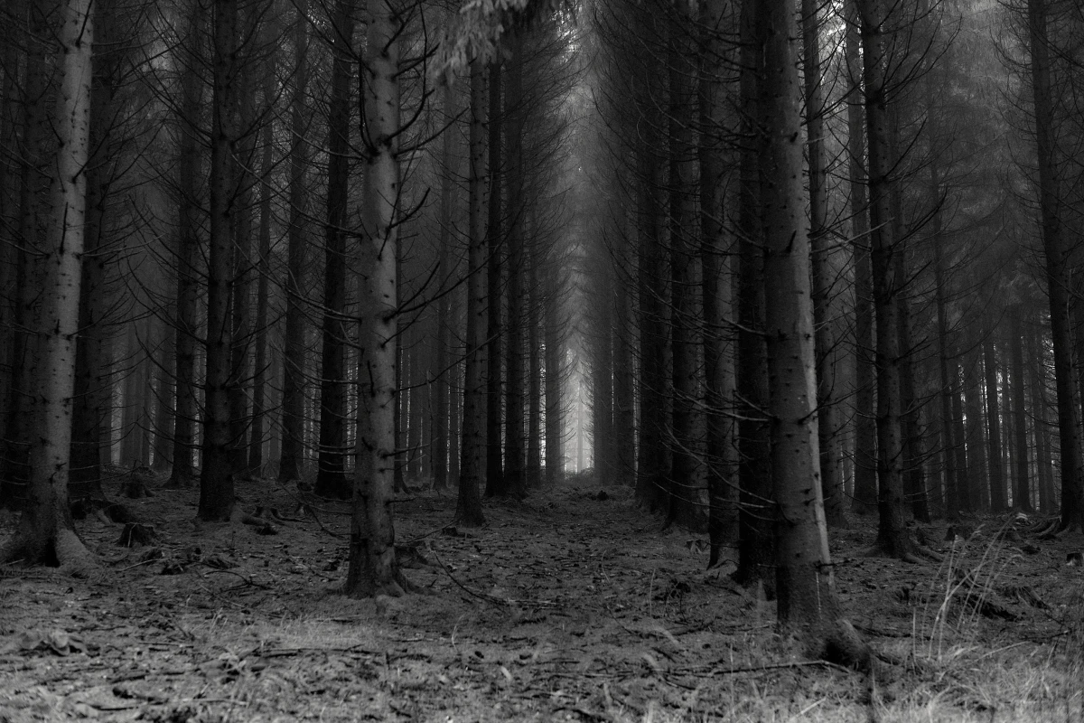 Lage – Pictures from Germany (2016–2026)